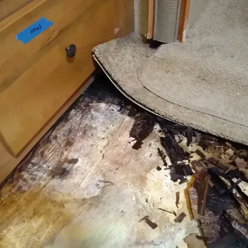 Best Wood Floor Water Damage Service in Springdale, SC